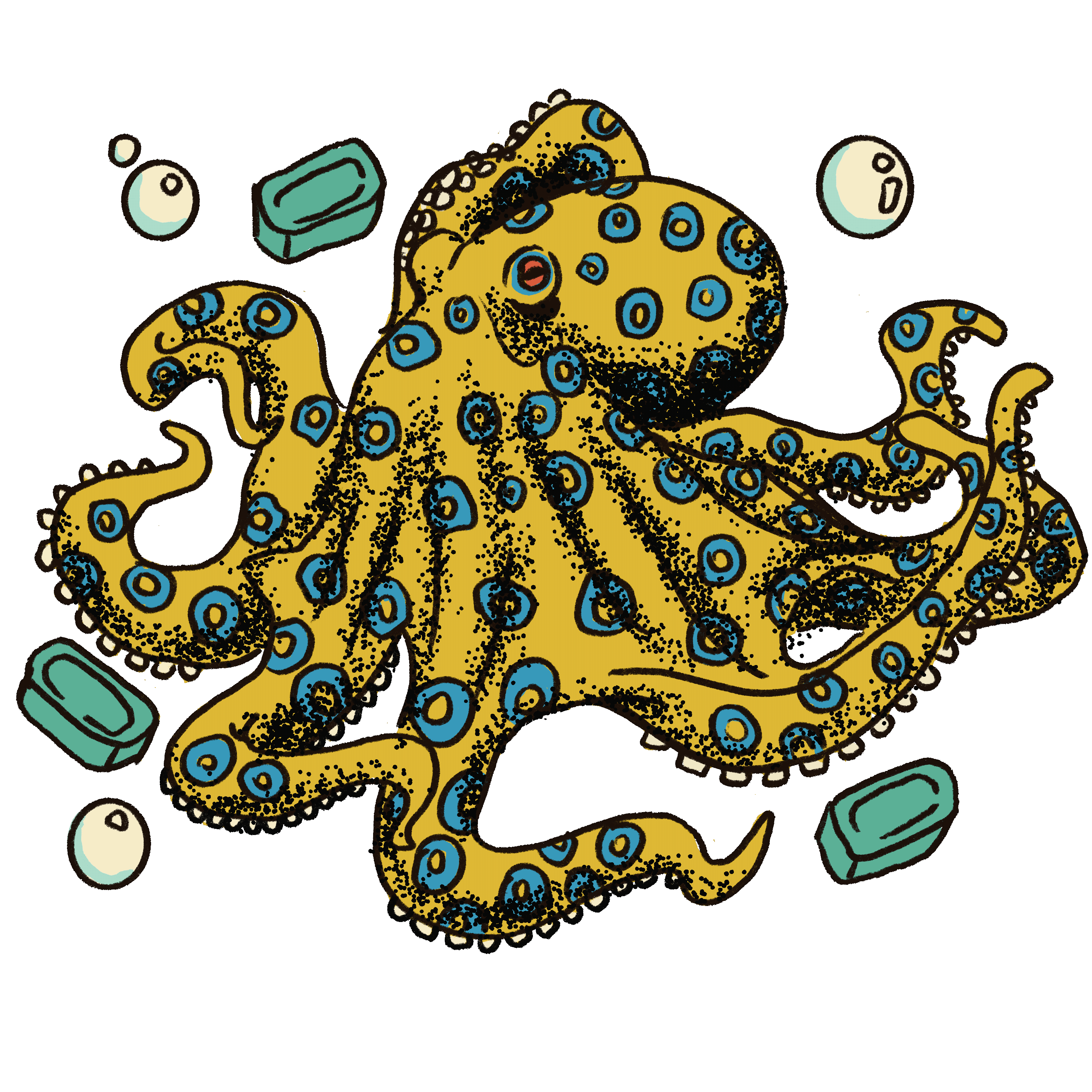CHEAPYXO Octopus